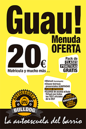 carnet de conducir